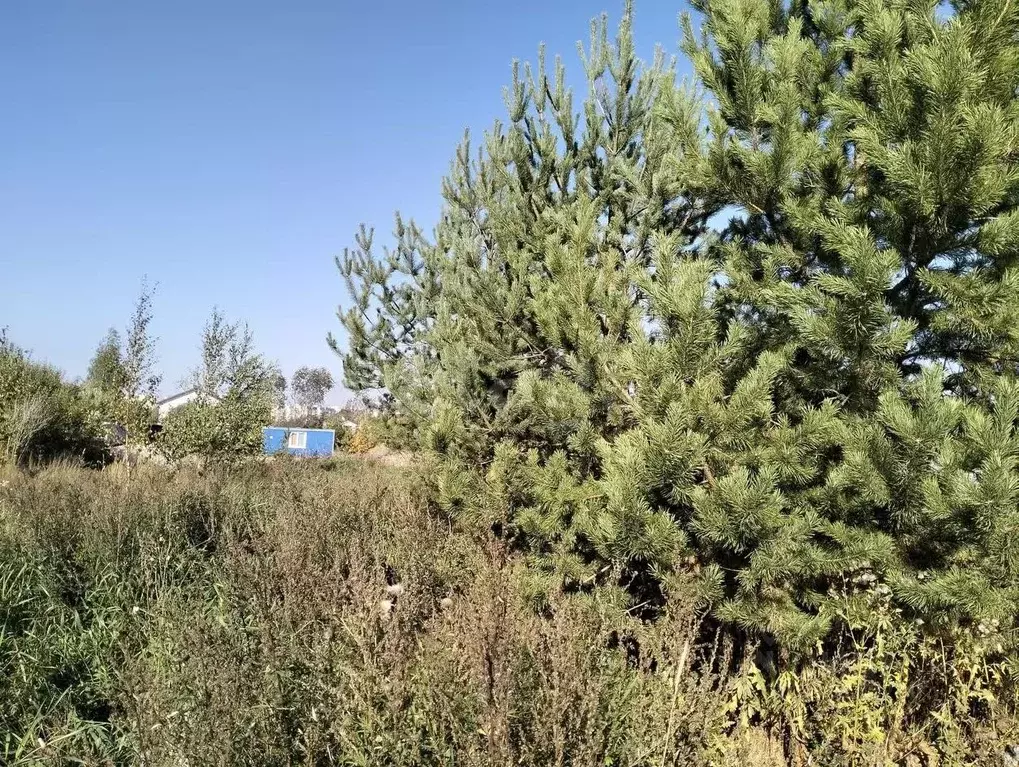 Участок в Ленинградская область, Тельмана Тосненский район, ул. ... - Фото 0