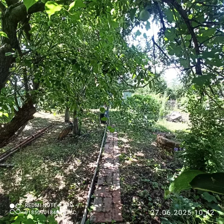 Дом в Ростовская область, Волгодонск Волгодонский Садовод СНТ,  (33 м) - Фото 1