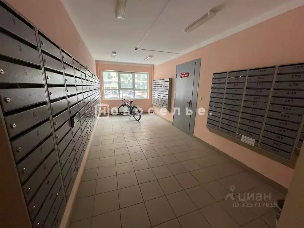 Студия Рязанская область, Рязань Шереметьевская ул., 10к3 (25.7 м) - Фото 2