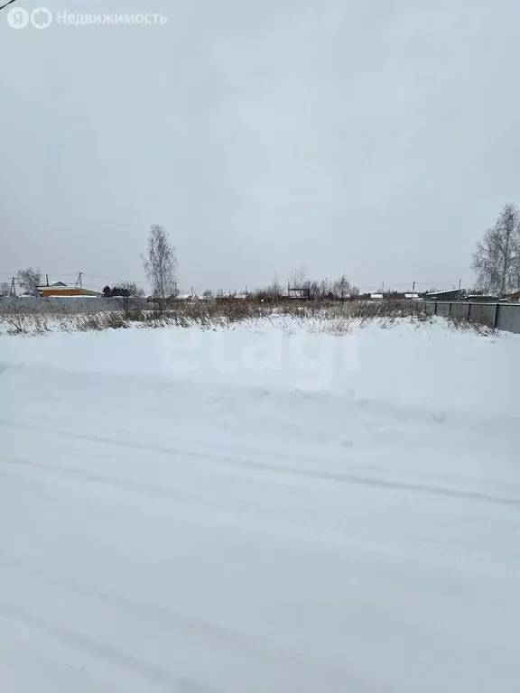 Участок в Тюмень, садовое товарищество Липовый Остров, 9-я Западная ... - Фото 2