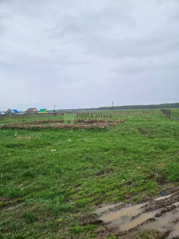 Участок в Башкортостан, Архангельский район, Краснозилимский ... - Фото 0