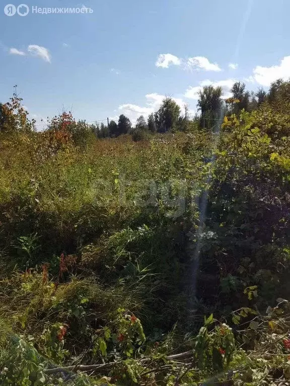 Участок в Кубовинский сельсовет, ДНП Содружество (10 м) - Фото 0
