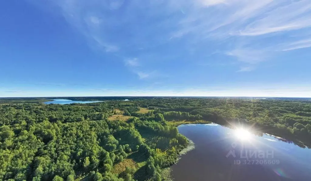 Участок в Тверская область, Вышний Волочек  (123.2 сот.) - Фото 1