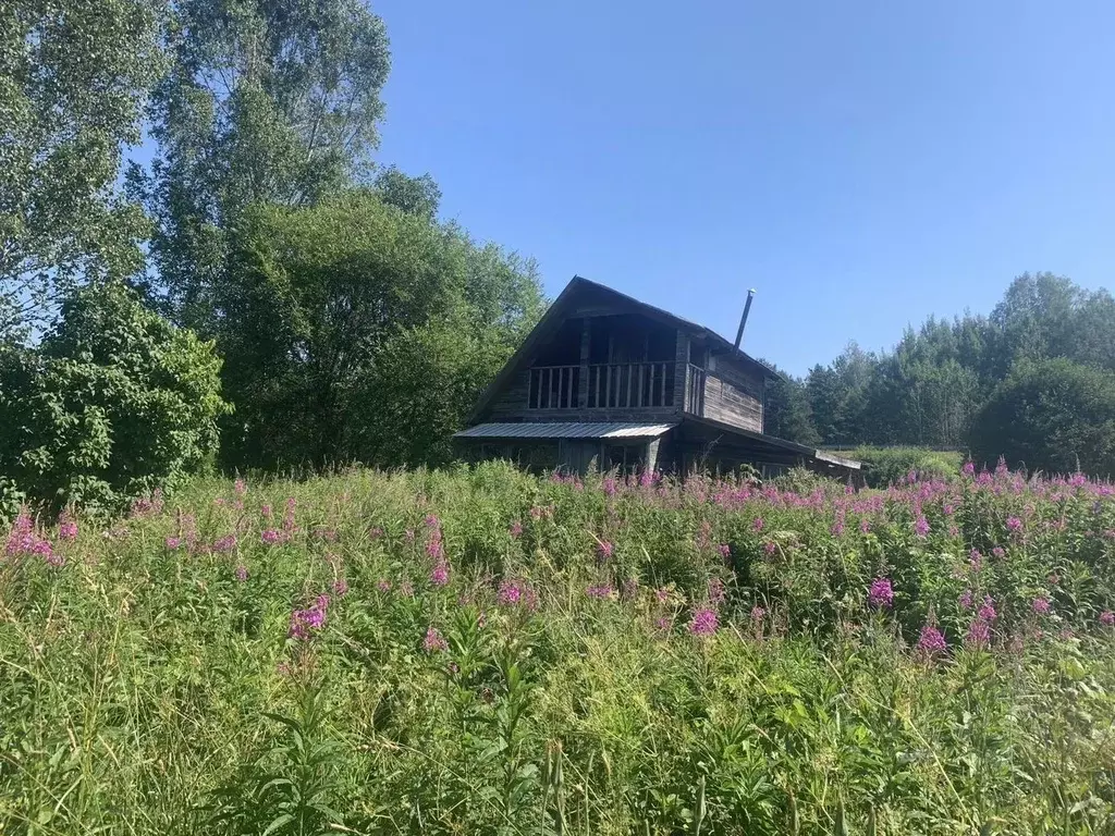 Участок в Ленинградская область, Выборгский район, Каменногорское ... - Фото 2