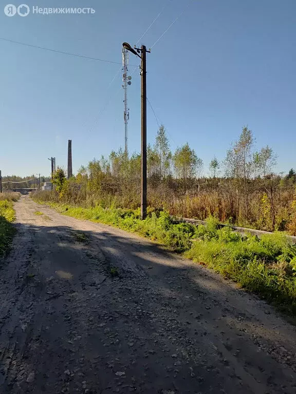 Участок в Ленинградская область, Гатчинский муниципальный округ, ... - Фото 1