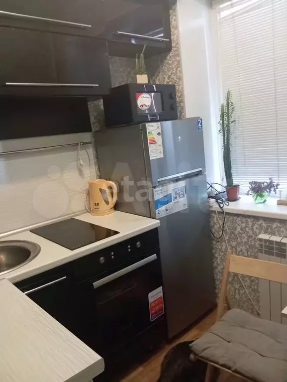1-к. квартира, 20 м, 1/4 эт. - Фото 1