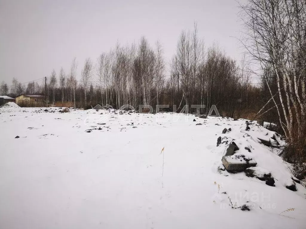 Участок в Тюменская область, Тюмень СОСН Березка-3 тер., ул. 15-я (9.0 ... - Фото 2