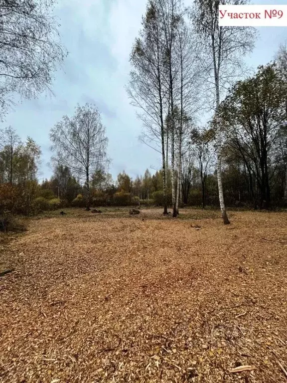 Участок в Тверская область, Кимрский муниципальный округ, д. Богунино  ... - Фото 1