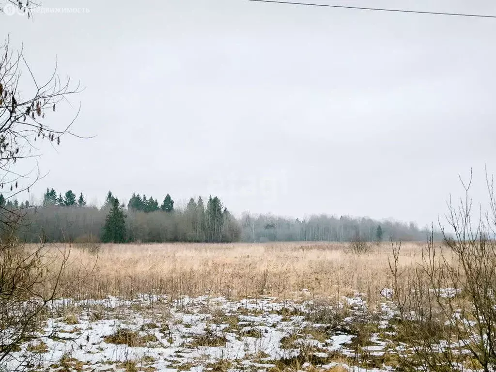 Участок в Ярославский муниципальный округ, Кузнечихинское сельское ... - Фото 0