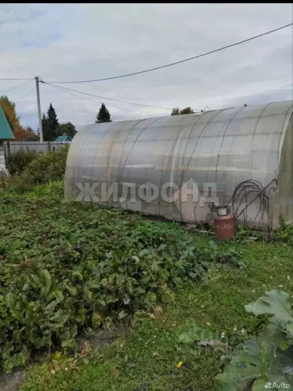 Участок в Новосибирская область, Новосибирск Рябинка СНТ, ул. 1-я (6.0 ... - Фото 2