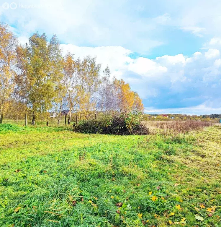 Участок в Калининградская область, Зеленоградск (10 м) - Фото 1