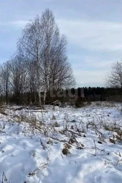 Участок в Вологодская область, д. Палагино  (23.0 сот.) - Фото 2