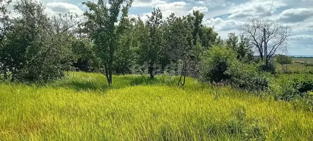 Участок в Саратовская область, Энгельс муниципальное образование, ... - Фото 1