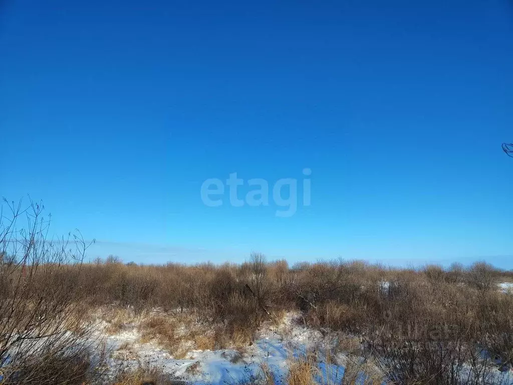 Участок в Амурская область, Благовещенск Левобережье тер.,  (15.0 ... - Фото 1