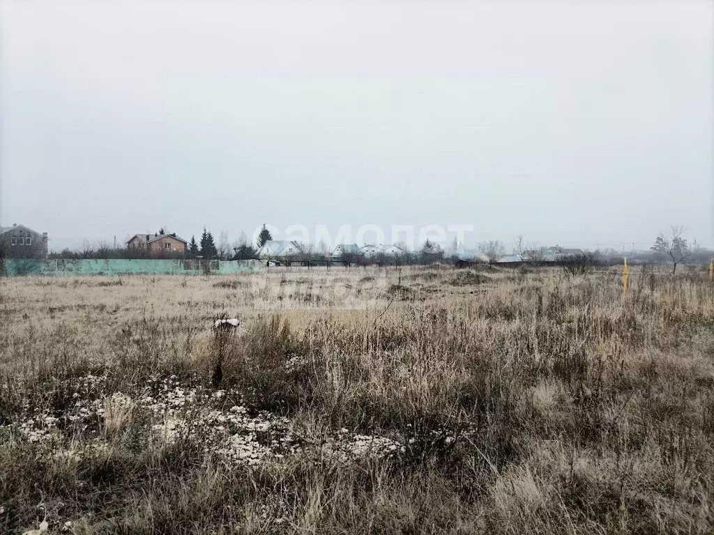 Участок в Липецкая область, Задонский район, Донской сельсовет, с. ... - Фото 1