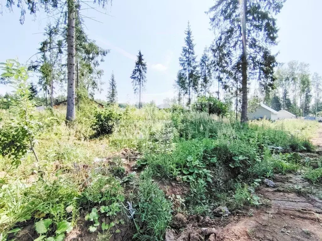 Участок в Московская область, Наро-Фоминский городской округ, д. ... - Фото 0