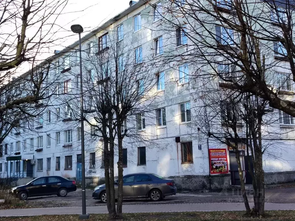 Торговая площадь в Карелия, Питкяранта ул. Ленина, 21 (192 м) - Фото 1