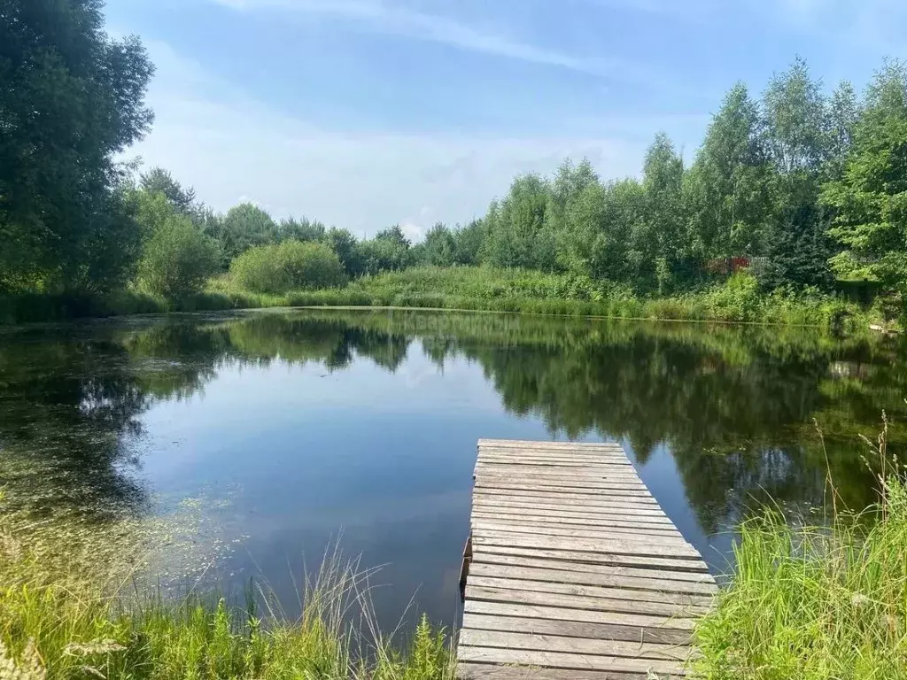 Участок в Владимирская область, Камешковский муниципальный округ, д. ... - Фото 2