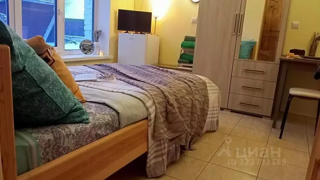 1-к кв. Псковская область, Себеж ул. Пролетарская, 37 (15.0 м) - Фото 2