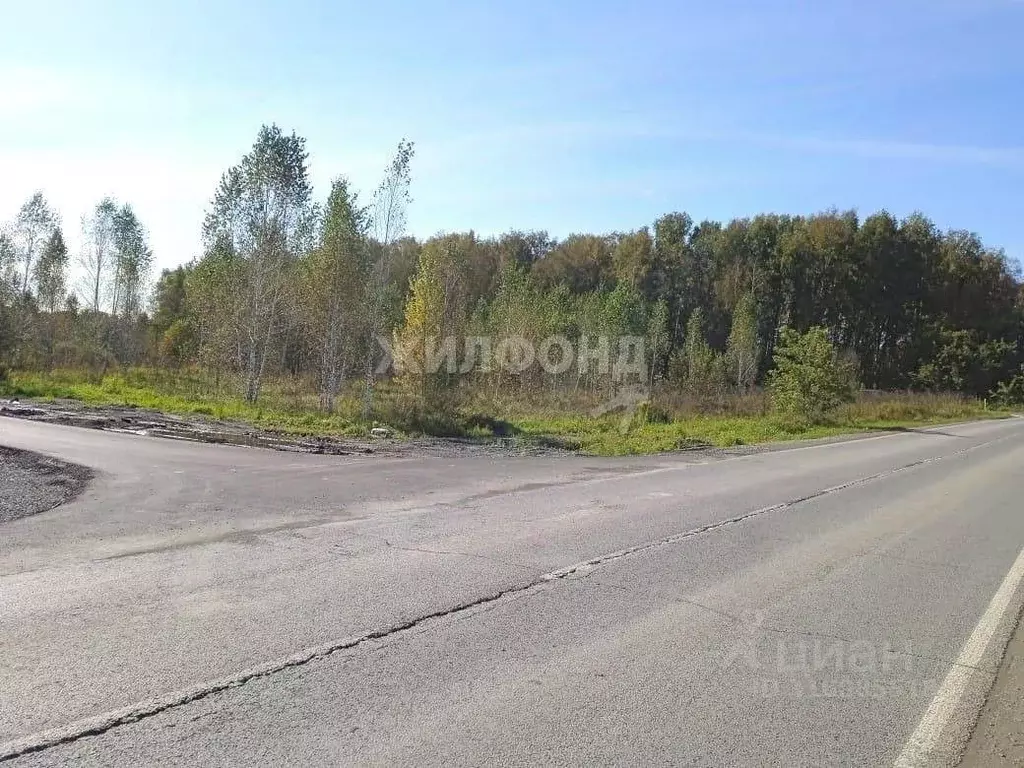 Участок в Новосибирская область, Новосибирский район, Барышевский ... - Фото 1