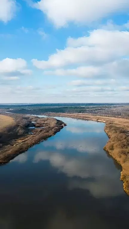 Участок в Тульская область, Ясногорский район, Иваньковское с/пос, с. ... - Фото 1