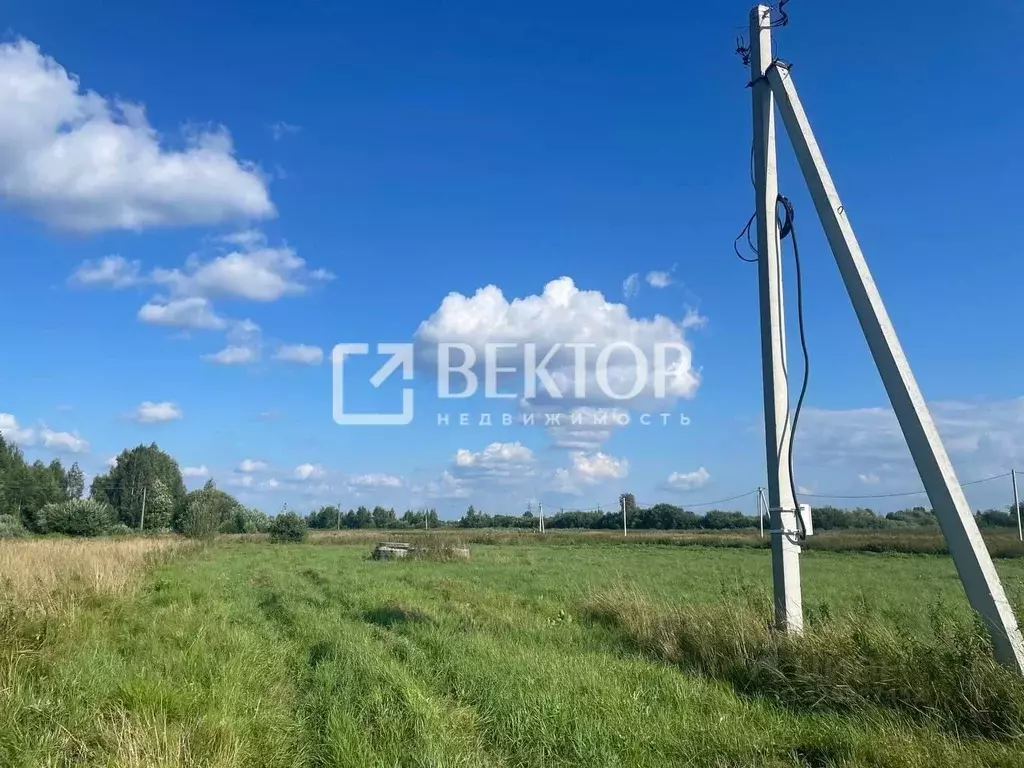 Участок в Костромская область, Костромской район, Самсоновское с/пос, ... - Фото 2