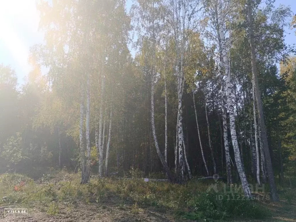 Участок в Свердловская область, Сысертский городской округ, пос. ... - Фото 0