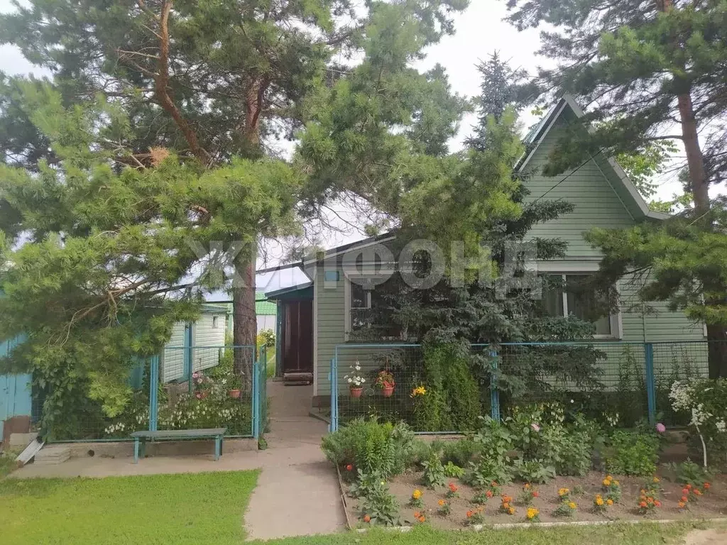 Дом в Новосибирская область, Новосибирский район, Боровской сельсовет, ... - Фото 2