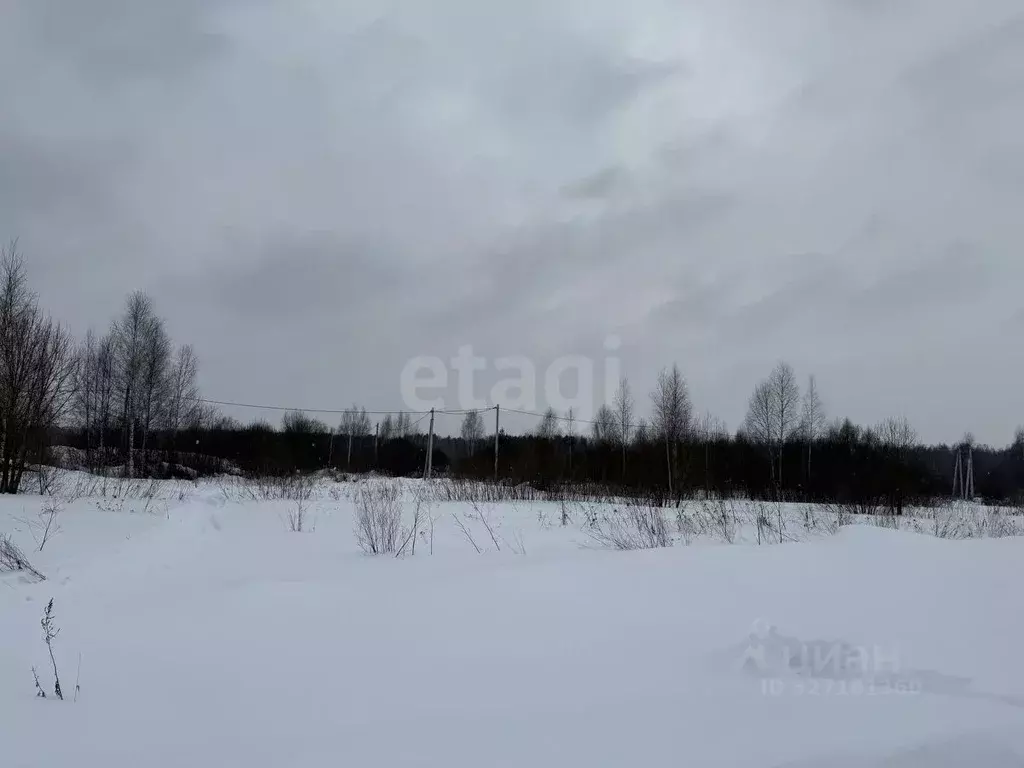 Участок в Костромская область, Кострома Соколиное Гнездо кп,  (10.0 ... - Фото 1