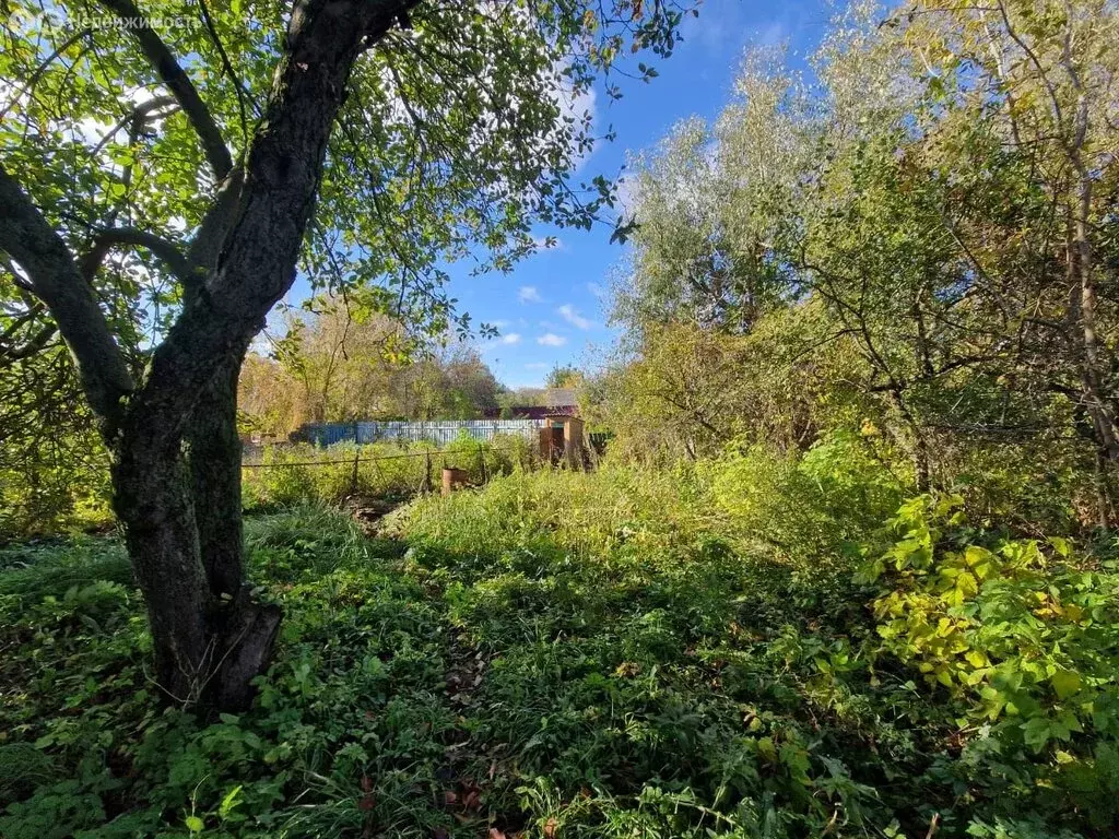 2-комнатная квартира: село Дединово, Октябрьская улица, 4 (29.9 м) - Фото 0