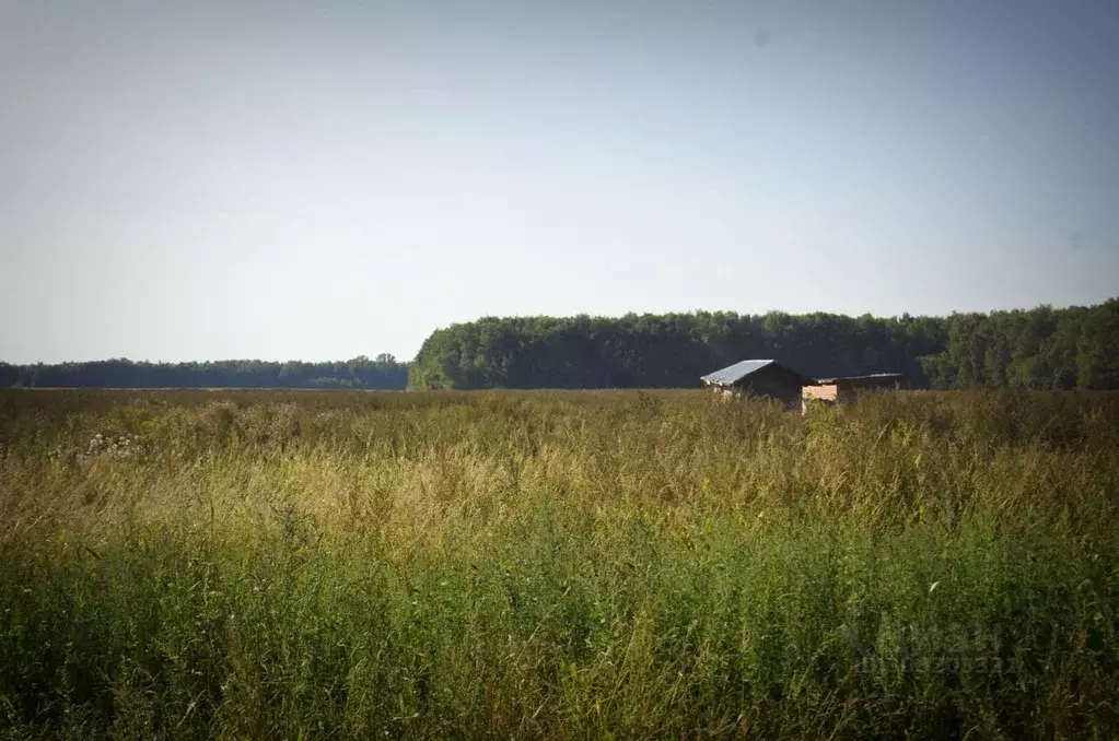 Участок в Московская область, Домодедово городской округ, с. Успенское ... - Фото 0