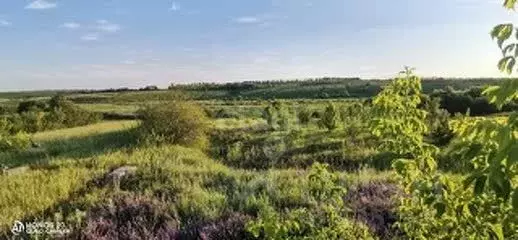 Участок в Белгородская область, Алексеевский городской округ, Покладов ... - Фото 0