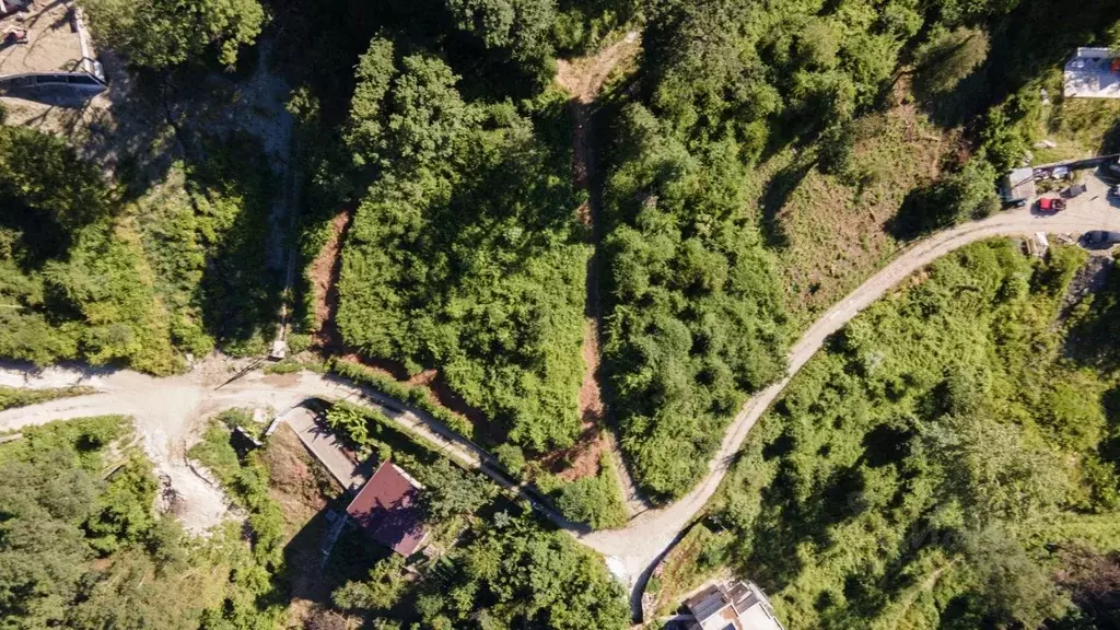 Участок в Краснодарский край, Сочи Ландыш садовое товарищество, 108 ... - Фото 1