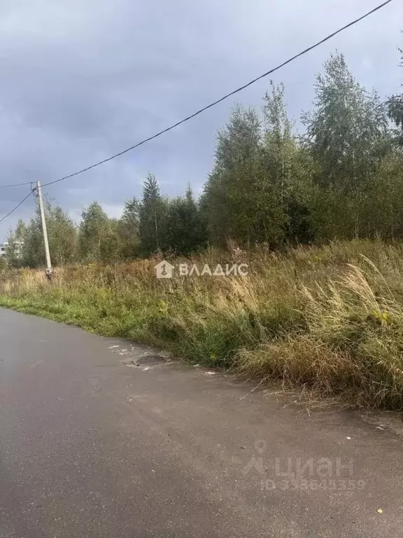 Участок в Нижегородская область, Богородский муниципальный округ, с. ... - Фото 2