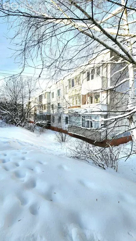 1-комнатная квартира: деревня Новоликеево, улица Ленина, 13 (34 м) - Фото 2