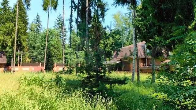 Дом 274 м на участке 24 сот. - Фото 0