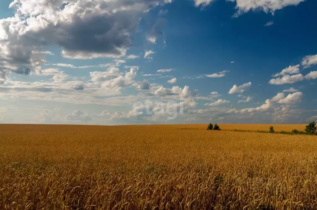 Участок в Белгородская область, Валуйки Имени Ватутина мкр,  (73000.0 ... - Фото 1