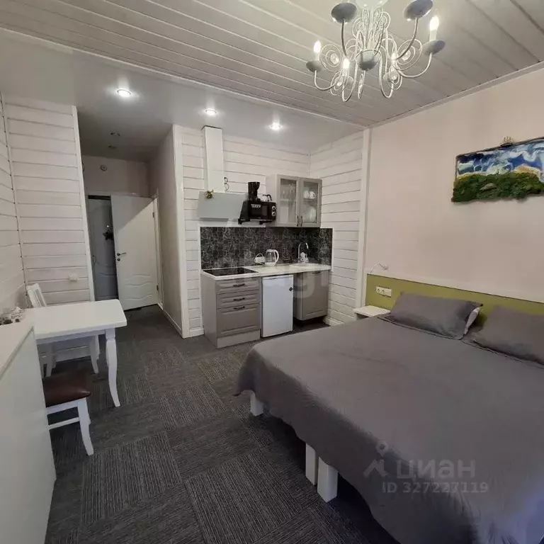 Студия Челябинская область, Миасский городской округ, с. Сыростан ул. ... - Фото 1