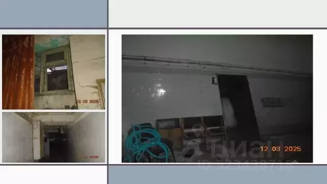 Помещение свободного назначения в Новосибирская область, Новосибирск ... - Фото 1