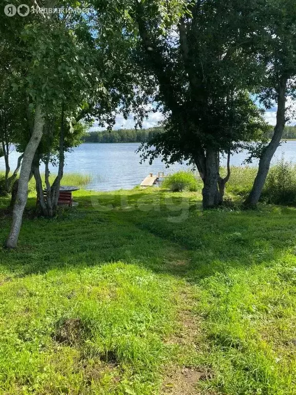 Участок в Приозерский район, Раздольевское сельское поселение, деревня ... - Фото 0