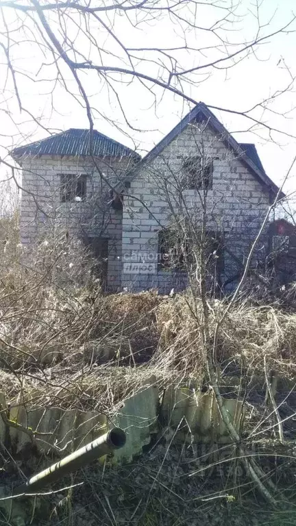 Участок в Московская область, Дмитров Родник СНТ, 101 (7.0 сот.) - Фото 1