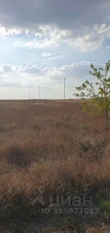 Участок в Крым, Симферопольский район, Гвардейское с/пос, с. Софиевка ... - Фото 1