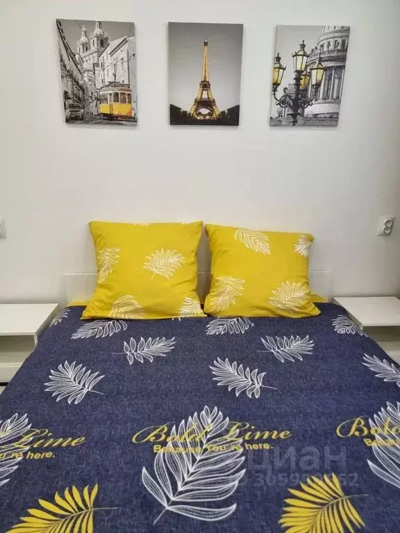 Студия Московская область, Истра муниципальный округ, д. Высоково ... - Фото 2