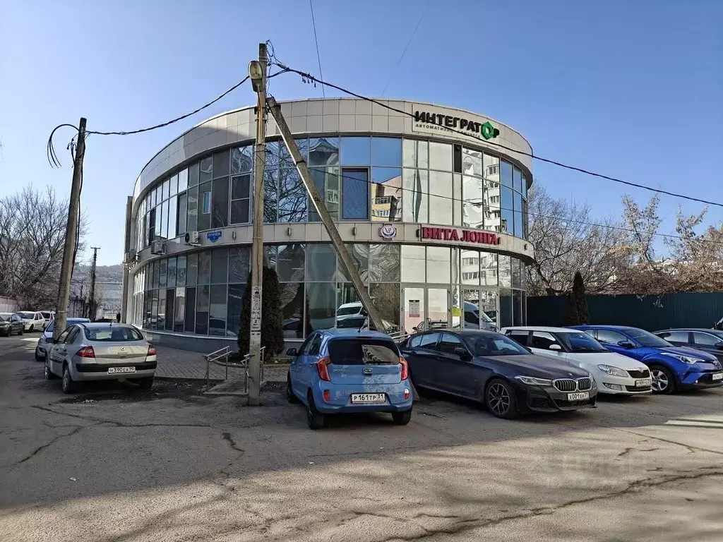 Офис в Белгородская область, Белгород ул. Пугачева, 7 (39 м) - Фото 1