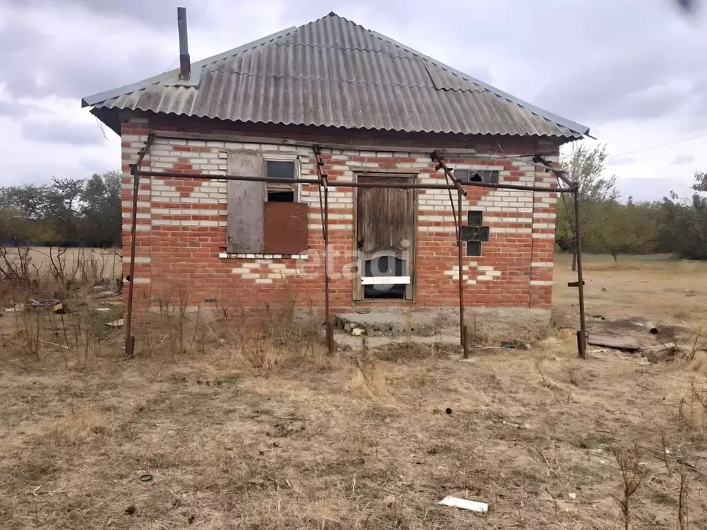 Участок в Краснодарский край, Тихорецкий район, Новорождественское ... - Фото 1