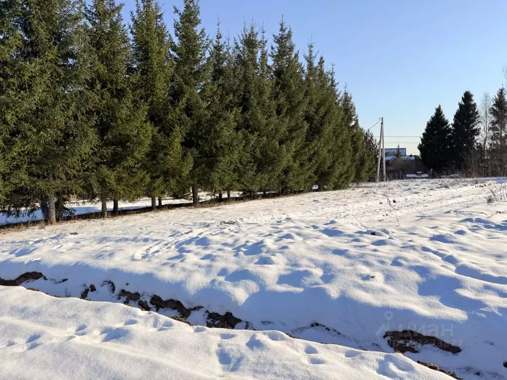 Участок в Московская область, Дмитровский муниципальный округ, д. ... - Фото 2