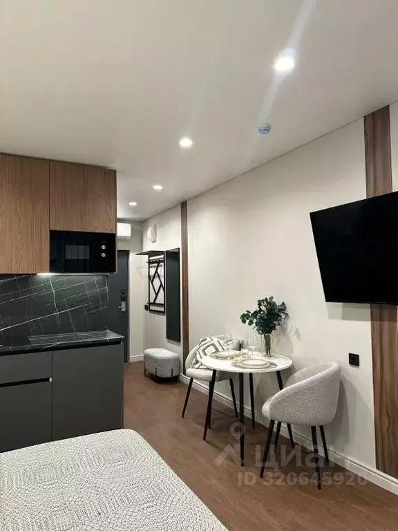 1-к кв. Санкт-Петербург Херсонский проезд, 6 (20.0 м) - Фото 1