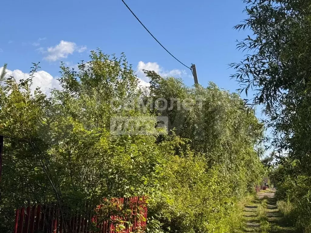 Участок 10 сот. (СНТ, ДНП) - Фото 1