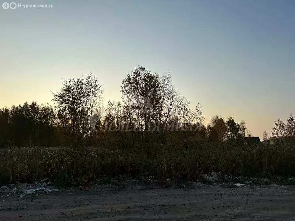 Участок в Тюмень, садовое товарищество Поле Чудес, Кукольный переулок ... - Фото 0