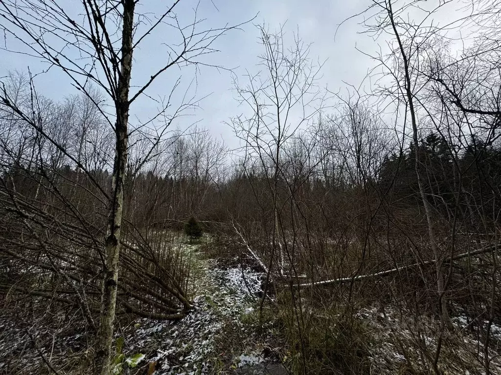 Участок в Московская область, Солнечногорск городской округ, пос. ... - Фото 1